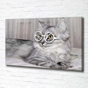 Imprimare tablou canvas Cat cu ochelari