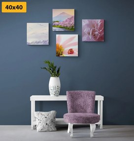 Set tablouri natura încântătoare delicată