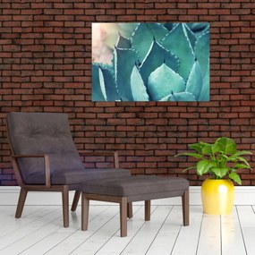 Tablou - Suculent (90x60 cm)