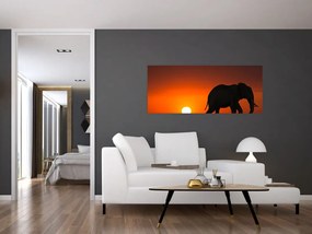 Tablou cu elefant în apus de soare (120x50 cm)