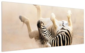 Tablou cu zebră culcată (120x50 cm), în 40 de alte dimensiuni noi