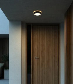 Aplica de perete / tavan exterior IP54 Oliver Black