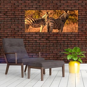 Tablou cu zebre (120x50 cm)