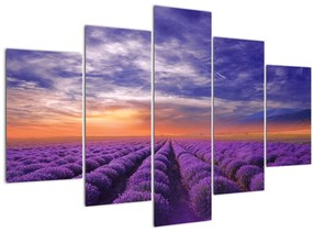 Tablou câmpului cu lavandă (150x105 cm)