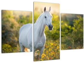 Tablou - Cal alb în poină (90x60 cm)
