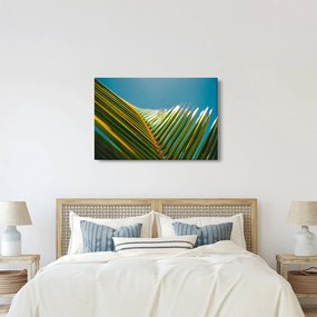 Tablou - Frunze de palmier (90x60 cm)