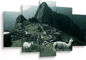 Tablou - Lamas la Machu Picchu în Peru (150x105 cm)