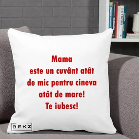 Cadou pentru Mama - Perna Personalizata Mama Cuvant Mic, 40x40 cm, Alba Mata, Husa Detasabila, Perna Inclusa, BEKZ®