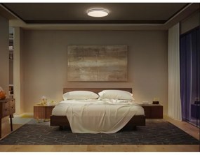 Plafonieră LED Ledvance ORBIS DUBLIN LED/24W/230V d. 39 cm