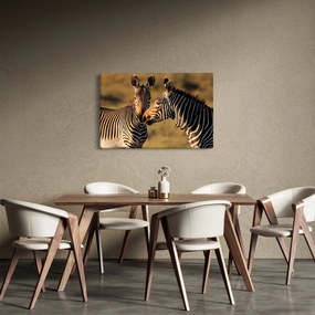 Tablou - Două zebre (90x60 cm)
