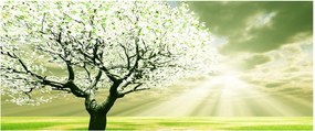 Tablou cu copaci pe luncă (120x50 cm)