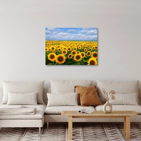 Tablou cu lan de floarea soarelui (70x50 cm)