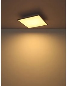 Globo 416080D2 - Plafonieră LED DORO LED/24W/230V