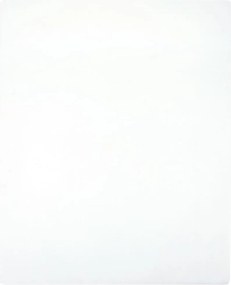 vidaXL Cearșaf de pat cu elastic, 2 buc., alb, 160x200 cm, bumbac
