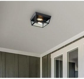 Plafonieră de exterior Westinghouse 61219 PETERSON 2xE27/40W/230V IP44