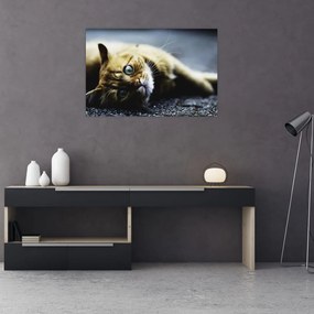 Tablou cu pisica (90x60 cm)