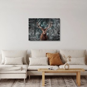 Tablou pe sticlă - Cerbul majestic (70x50 cm)
