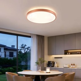 BRILAGI - Corp de iluminat LED reglabil GLASS POOL DOUBLE LED/60W/230V 50 cm cu finisaj cupru + telecomandă