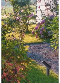 Lampă LED de exterior Lucide 27894/05/29 TATUM LED/4,5W/230V IP65 39,5 cm antracit