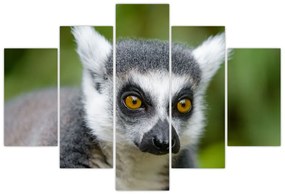 Tablou cu lemur (150x105 cm)