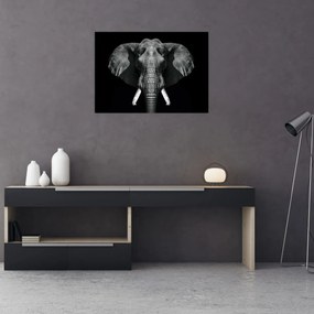 Tablou pe sticlă - Elefant pe fundal negru (70x50 cm)