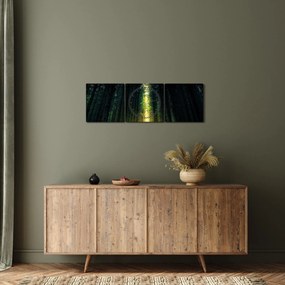 Tablou cu pădurea întunecată (cu ceas) (90x30 cm)
