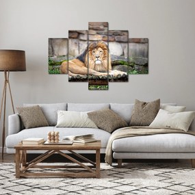 Tablou cu leu (150x105 cm)
