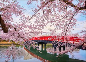 Tablou pe sticlă - Hirosaki, Japonia (70x50 cm)