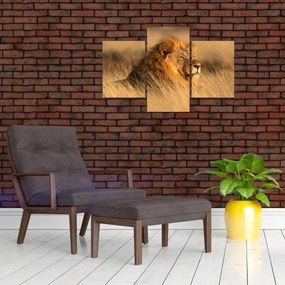 Tablou - Parcul Național Etosha (90x60 cm)