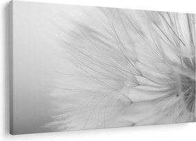 Tablou - Dandelion (90x60 cm)