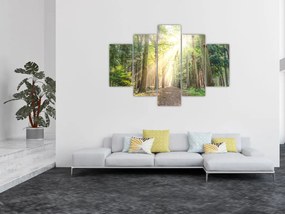 Tablou - Poteci în pădure (150x105 cm)