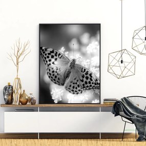 Poster - Fluture (A4)