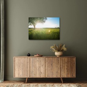 Tablou cu lunca în vară (70x50 cm)