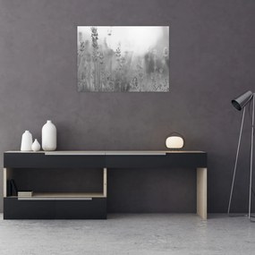 Tablou - Lavanda (70x50 cm)