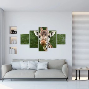 Tablou cu girafa (125x70 cm), în 40 de alte dimensiuni noi