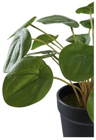 Pilea műnövény, zöld 28 cm