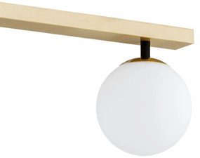 Lustra aplicata cu 4 surse de lumina FREEMONT