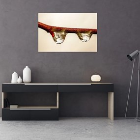 Tablou cu picături de apă pe creangă (90x60 cm)