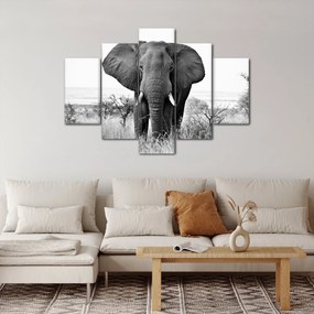 Tablou - Elefantul african II. (150x105 cm)