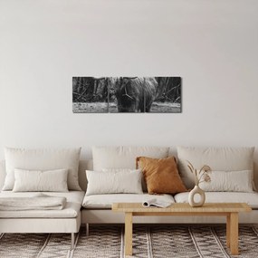 Tablou - Vacă scoțiană (cu ceas) (90x30 cm)