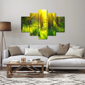 Tablou - Trezirea de primăvară a pădurii (150x105 cm)