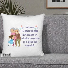 Cadou pentru Bunici - Perna Personalizata Bunicii Iubirea Infloreste Bunici cu Nepoata Colorat, 40x40 cm, Alb Pufos, Husa Detasabila, Perna Inclusa, BEKZ®