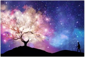 Tablou - Raborele spațial (90x60 cm)