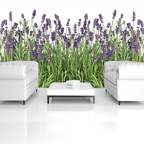 Fototapet - Lavana (152,5x104 cm)