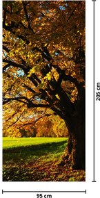 Fototapet pentru ușă - Toamna (95x205cm)