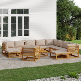 3155263 vidaXL Set mobilier de grădină cu perne gri taupe 12 piese, lemn masiv