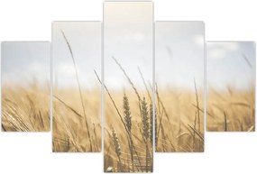 Tablou cu grâne (150x105 cm)