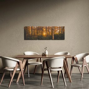 Tablou - Pădurea toamna (cu ceas) (90x30 cm)