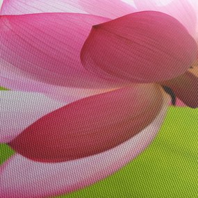 Tablou cu flori de lotus (70x50 cm)