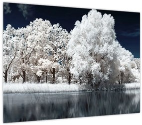 Tablou pe sticlă - Albă ca Zăpada Albă ca Zăpada Copaci (70x50 cm)